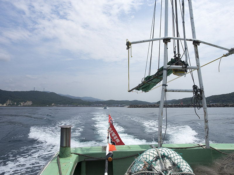 固定式刺網漁業の様子 船上から