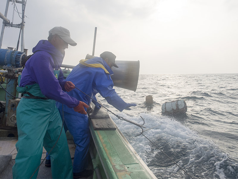 固定式刺網漁業の様子 船上から