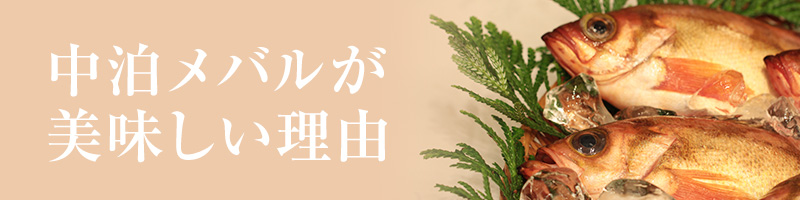 中泊メバルがおいしい理由