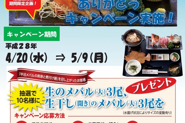 中泊メバル膳15,000食